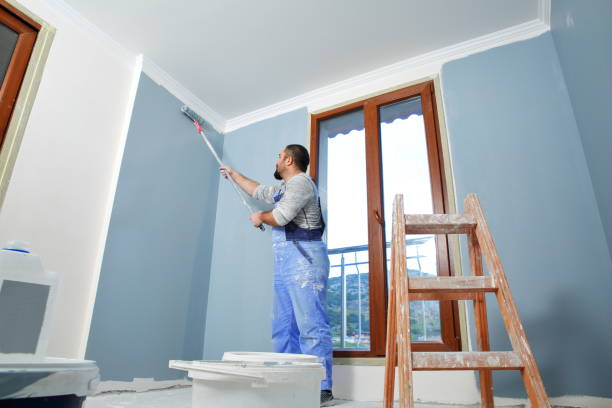 Best Post-Construction Mold Inspection  in Ardmore, OK