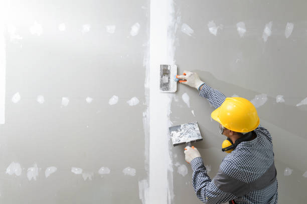 Best Mold-Related Health Consultation  in Ardmore, OK