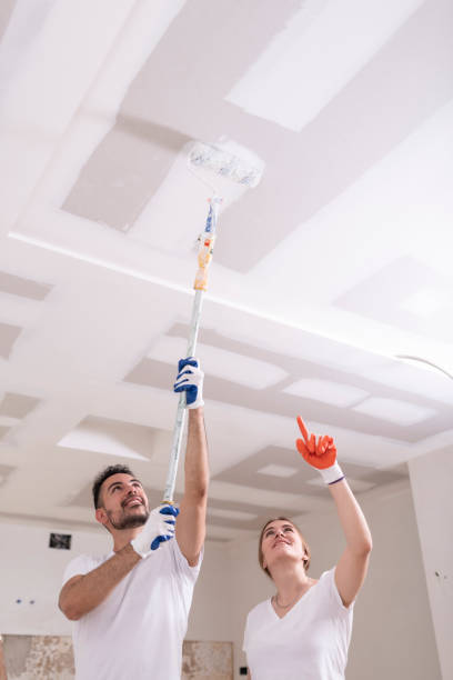 Best Mold Removal for HVAC Installations  in Ardmore, OK