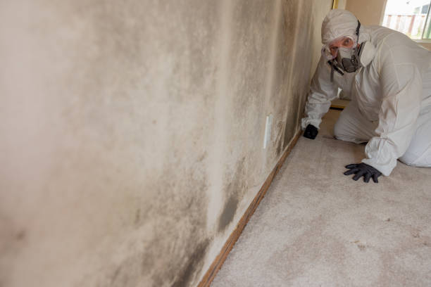Best Crawl Space Mold Remediation  in Ardmore, OK