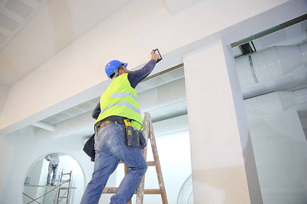Best Basement Mold Removal  in Ardmore, OK